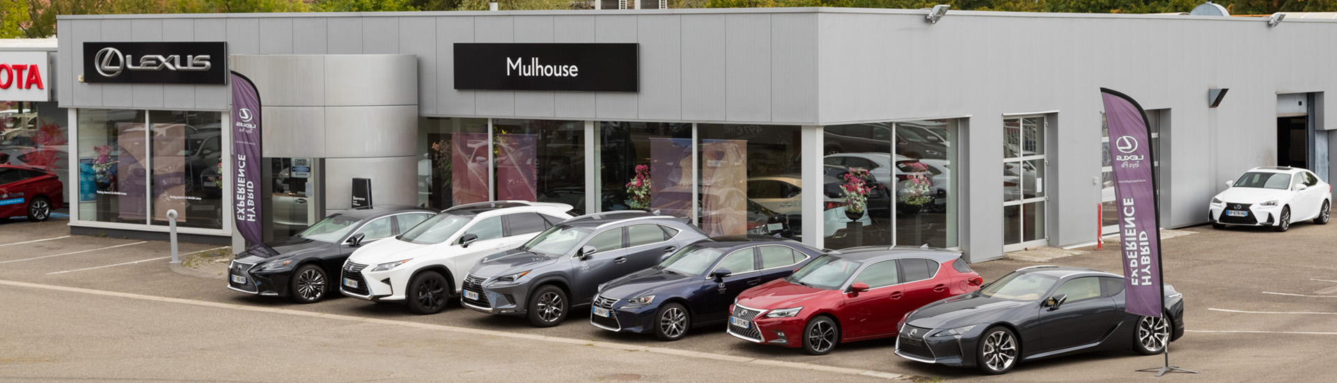 Concession Lexus Toys Plus Mulhouse